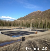 Delani, AK Delani, AK